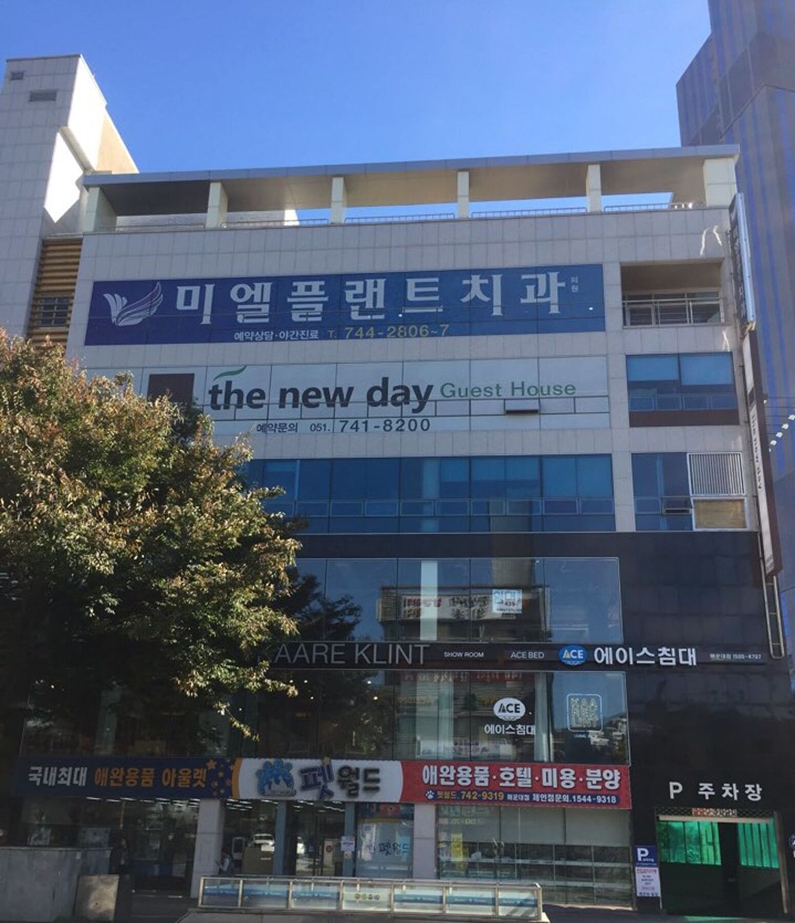 Hostel The New Day Busan Dış mekan fotoğraf